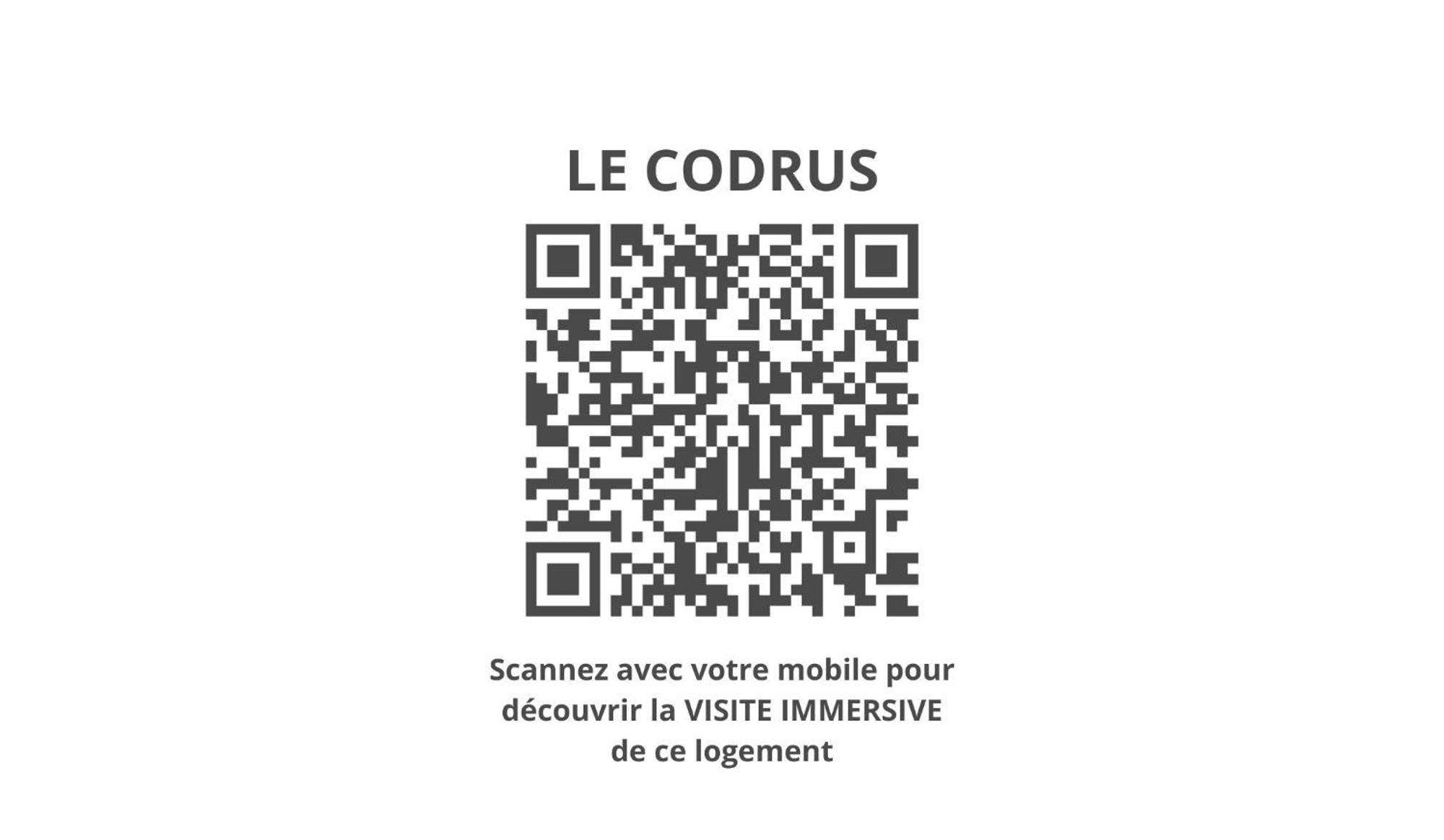 Le Codrus - Charmant Appartement Dans L'Hyper Centre Toulousain Тулуза Екстериор снимка